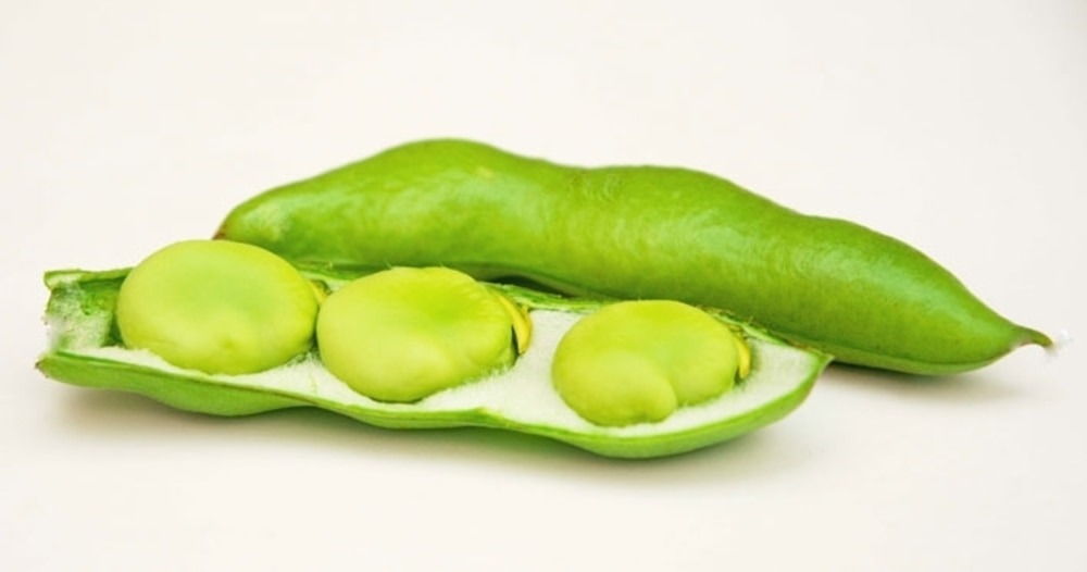 おいしいそら豆の選び方のコツは?
